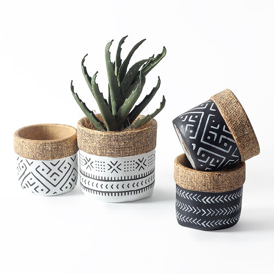 Driftwood Woven Basket Planter