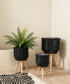 Set of 3 Black Woven Rattan Basket Planters on Wood Legs