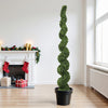 Spiral Topiary Trees — 7 ft Set of 2