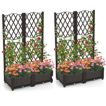 Rustic Trellis Raised Garden Bed with Self-Watering, Set of 2