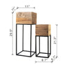 Set of 2 Reclaimed Wood Planters with Iron Stands