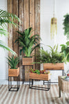 Set of 2 Reclaimed Wood Planters with Iron Stands