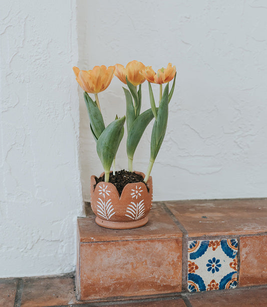 Petals Terracotta Planter