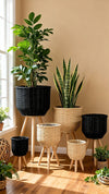Set of 3 Black Woven Rattan Basket Planters on Wood Legs
