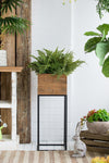Set of 2 Reclaimed Wood Planters with Iron Stands