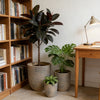 Round Magnesium Planters — Set of 3
