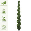 Spiral Topiary Trees — 7 ft Set of 2