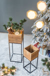 Set of 2 Reclaimed Wood Planters with Iron Stands