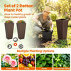 Set Of 2 Rattan Planters With Removable Inner Pots