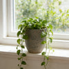 Round Magnesium Planters — Set of 3