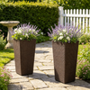 Set Of 2 Rattan Planters With Removable Inner Pots