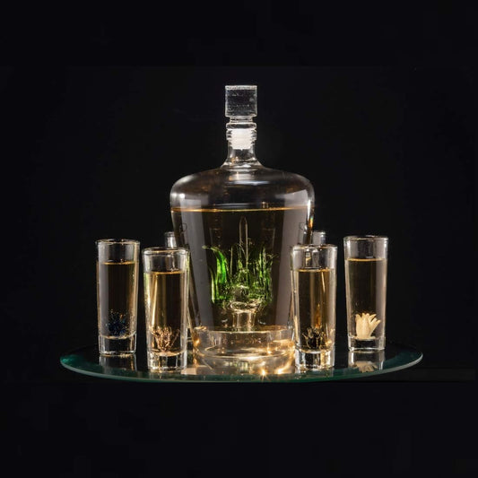 Agave Tequila Decanter Set with 6 Shot Glasses