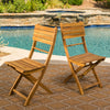 Acacia Wood Folding Outdoor Dining Chair, Set of 2