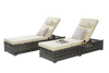 Coastal Rattan Chaise Lounger Set of 2