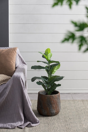 Small Gray Cement Indoor & Outdoor Planter, 12.6 × 11.8 in