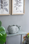 Gray Cement Indoor & Outdoor Planter, 14 × 8 in