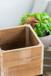 Set of 2 Reclaimed Wood Planters with Iron Stands