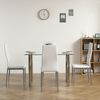 Rectangular Glass Dining Table with Stainless Steel Legs