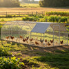 9.2' X 24.9' X 6.4' Large Chicken Coop Metal Chicken Run With