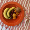 Striped Tablecloth Set with 12 Napkins