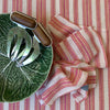Striped Tablecloth Set with 12 Napkins