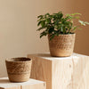 Natural Woven Flower Basket Straw Wicker Planter Storage Baskets Large