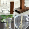 Hydroponic Glass Vase, Vintage Desktop Plant Terrarium Planter Bulb