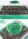 Seed Starter Tray Box With LED Grow Light Nursery Pot Seedling