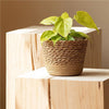 Natural Woven Flower Basket Straw Wicker Planter Storage Baskets Large