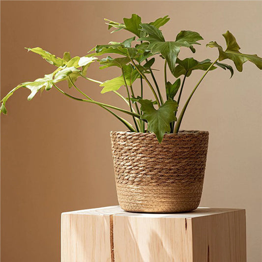 Natural Woven Wicker Planter Basket, Large Rattan Storage Basket