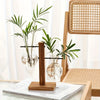 Hydroponic Glass Vase, Vintage Desktop Plant Terrarium Planter Bulb
