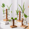 Hydroponic Glass Vase, Vintage Desktop Plant Terrarium Planter Bulb