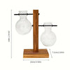 Hydroponic Glass Vase, Vintage Desktop Plant Terrarium Planter Bulb