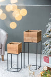 Set of 2 Reclaimed Wood Planters with Iron Stands