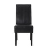 Pertica Dining Chair, Set of 2