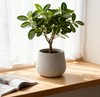 Planter 9.06-Inch Magnesium Oxide LIGHT GREY for Indoor, Outdoor or