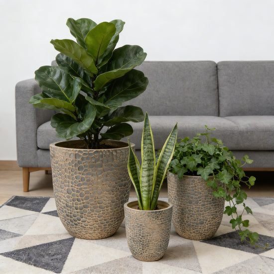 Round Magnesium Planters — Set of 3