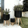 Set of 3 Black Woven Rattan Basket Planters on Wood Legs