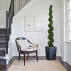 Spiral Topiary Trees — 7 ft Set of 2