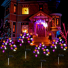 Halloween Outdoor Solar Stake Lights, 2-Pack