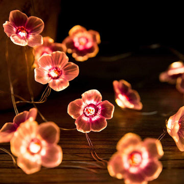 Boardwalk Warm-White String Lights