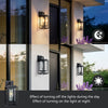 Double-Cage Outdoor Wall Lantern in Satin Black