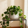 Planter 9.06-Inch Magnesium Oxide LIGHT GREY for Indoor, Outdoor or