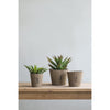 Set of 3 Graduated Fir Wood Planters, Rustic Brown