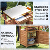 Outdoor Grill Cart — Stainless Top