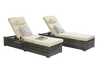 Coastal Rattan Chaise Lounger Set of 2