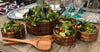 Coastal Entertaining Salad Bowl Set — 7 Piece