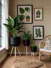 Set of 3 Black Woven Rattan Basket Planters on Wood Legs