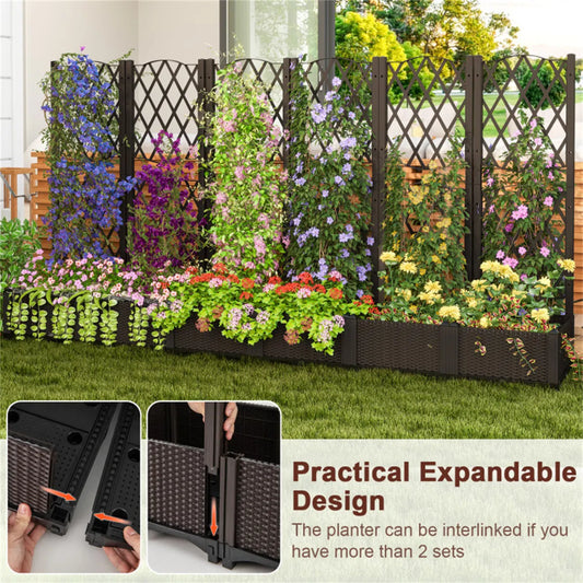 Rustic Trellis Raised Garden Bed with Self-Watering, Set of 2