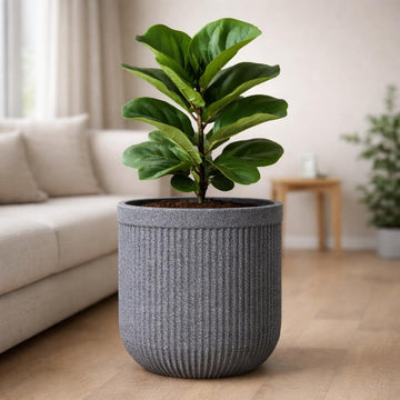 Round Fibre Indoor Outdoor Planter